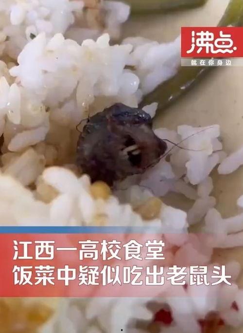 吃瓜热榜 第6页