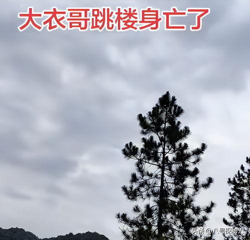 农村哭丧视频,传统丧葬文化的真实写照
