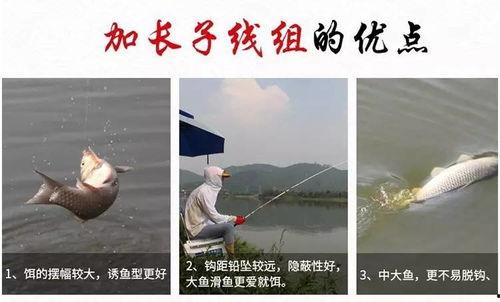 挂子线视频