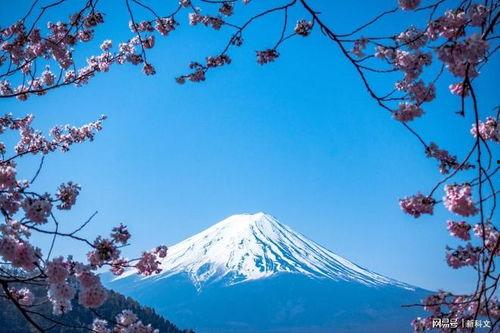 富士山视频,自然奇观与人文历史的完美融合